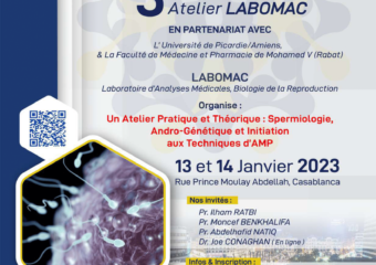 work shop atelier 23 12 -1